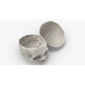 Real Human Skull Cranial 02 Cut With Piece White Pose 03 3D model